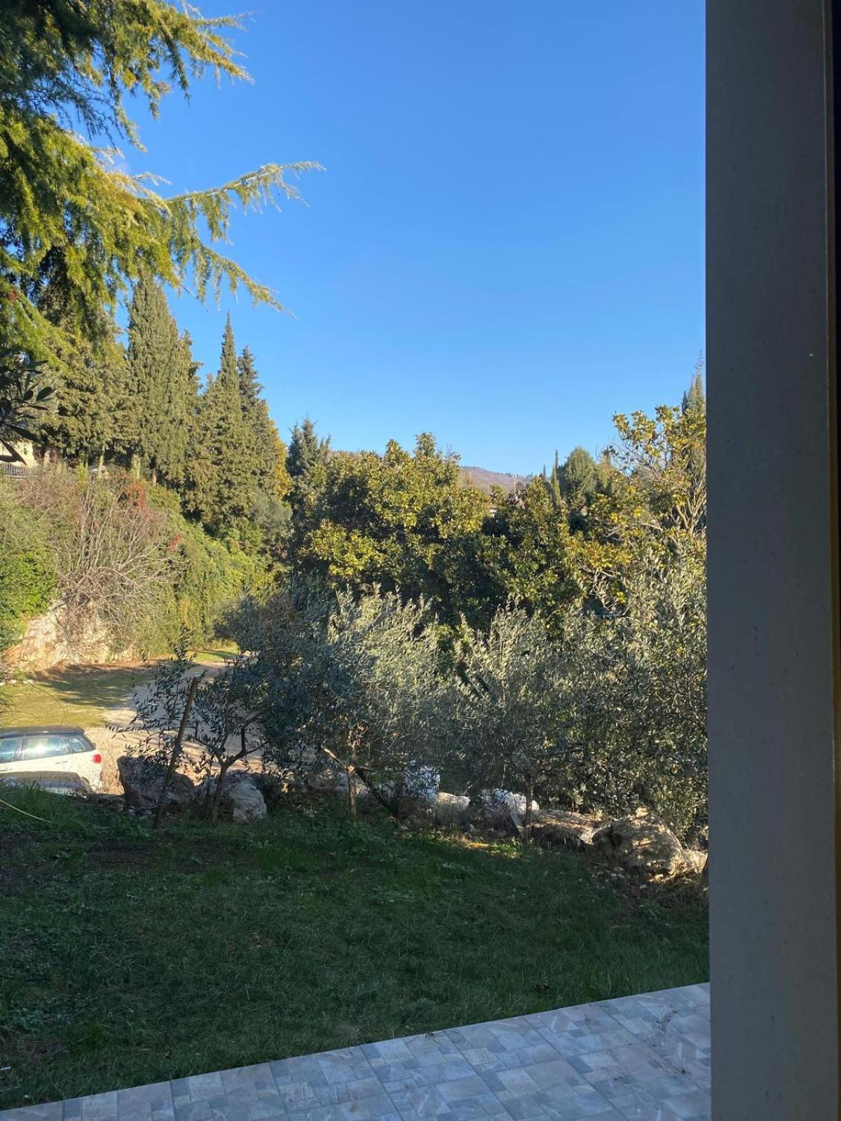 Agriturismo I Merli SantʼAmbrogio di Valpolicella Zewnętrze zdjęcie